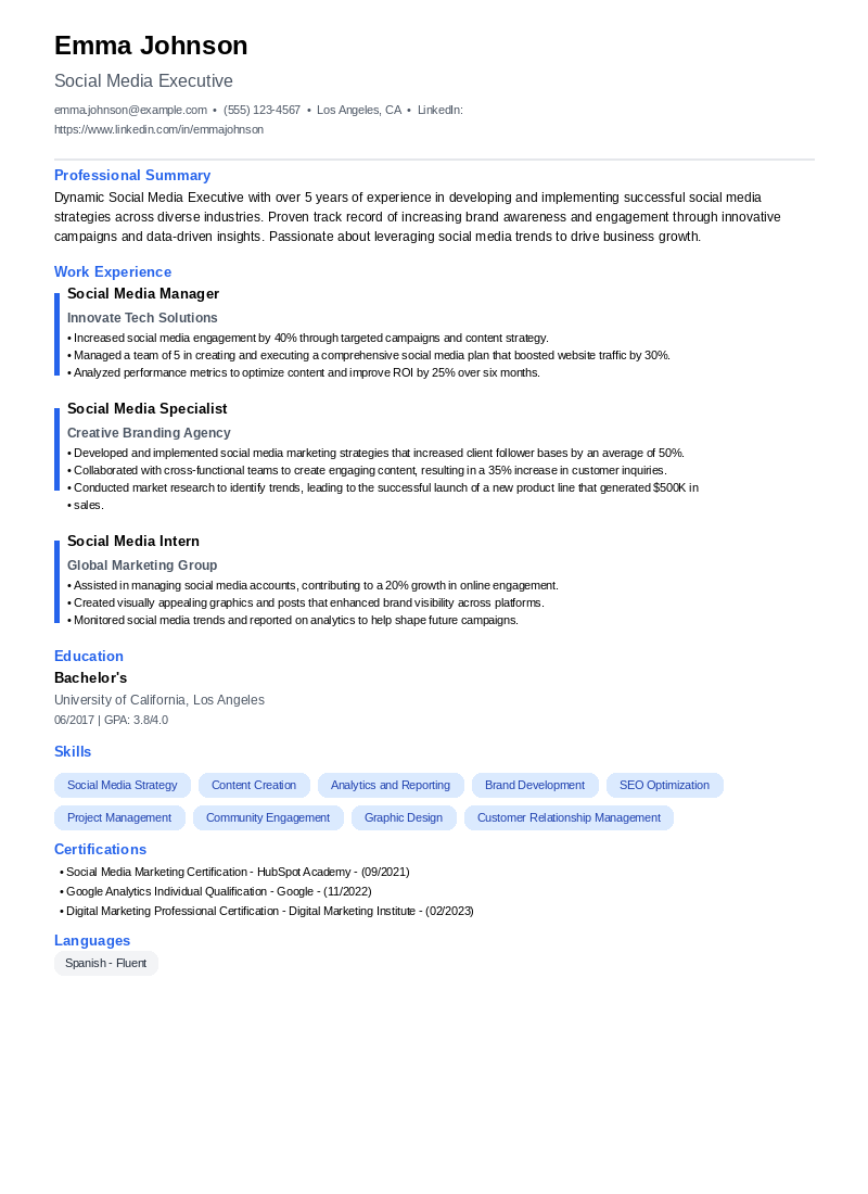 Social Media Executive Resume Example